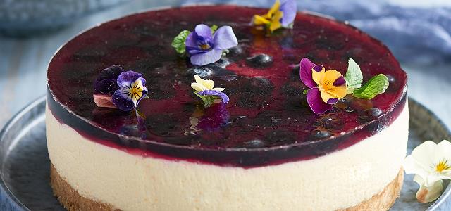 Blueberry Cheesecake